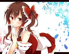 Photo Touhou Collection Glance Brown haired Anime Girls