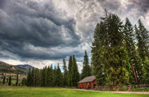 Картинки Парк Штаты Небо Дерева Облака HDR Калифорнии Йосемити Природа