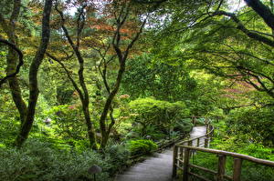 Pictures Gardens Canada Trees Stairway HDR Butchart Victoria Nature