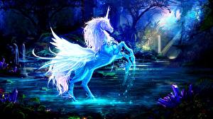 Sfondi desktop Animali magici Unicorno Pegaso Notte Fantasy