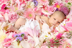 Bakgrundsbilder på skrivbordet Baby barn Blommor