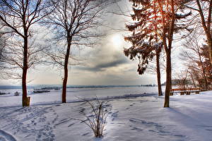 Bureaubladachtergronden Seizoen Winter Sneeuw Een boom De horizon HDR Natuur
