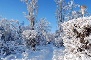 Bakgrundsbilder på skrivbordet Årstiderna Vinter Snö Buskar Gångstig Natur
