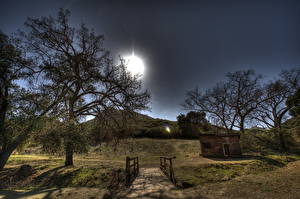 Bureaubladachtergronden Amerika Hemelgewelf Een boom HDR Californië Malibu (Californië) Natuur