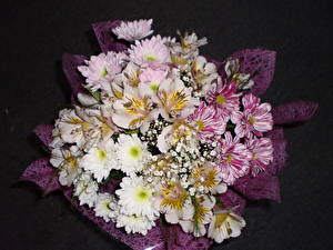 Bakgrundsbilder på skrivbordet Buketter Krysantemum  Blommor