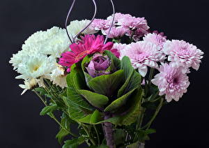 Hintergrundbilder Chrysanthemen Blumensträuße Blumen