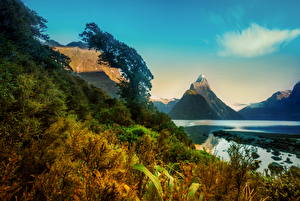 Bakgrundsbilder på skrivbordet Landskapsfotografering Nya Zeeland Berg Buskar Milford Natur