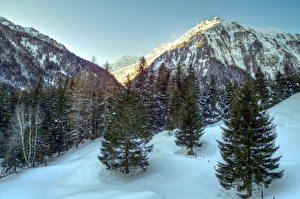Papel de Parede Desktop Montanhas Áustria árvores Picea Neve Alpes Naturaleza