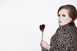 Fonds d'écran Adele singer Rose Regard fixé Aux cheveux bruns Musique Filles Célébrités