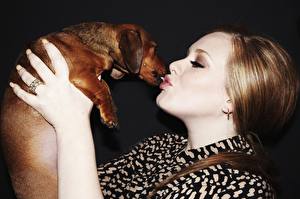 Photo Adele singer Dogs Dachshund Hands Hair Brown haired Music Girls Celebrities