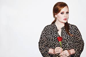 Sfondi desktop Adele (cantante) Colpo d'occhio Ragazze Celebrità