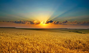 Tapety na pulpit Pole rolnictwo Wschody i zachody słońca Niebo Chmury Promienie światła Horyzont przyroda