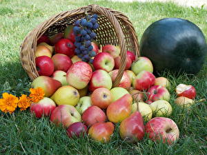 Bakgrundsbilder på skrivbordet Frukt Äpplen Gräset Korgar Mat
