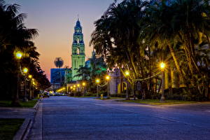 Photo USA Roads Street lights Palm trees Night time San Diego California Cities