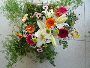 Hintergrundbilder Blumensträuße Gerbera Lilien Blumen