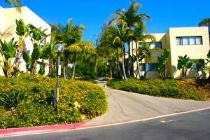 Hintergrundbilder USA Bäume Palmen Kalifornien Malibu Städte