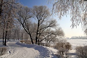 桌面壁纸，，季节，冬季，道路，雪，树，大自然