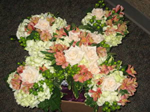 Sfondi desktop Bouquet Rosa Alstroemeria Fiori