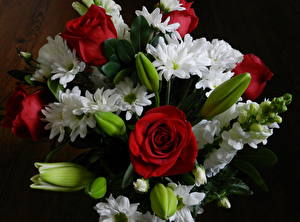 Fonds d'écran Bouquets Roses Bourgeon Fleurs