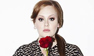 Picture Adele singer Glance Face Hair Brown haired Music Girls Celebrities