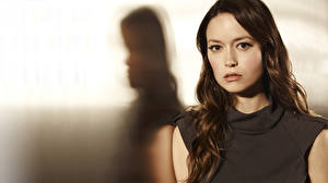 Images Summer Glau Staring Face Hair Brown haired Girls