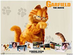 桌面壁纸，，Garfield，電影