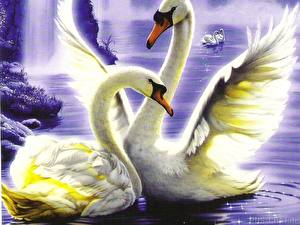 Wallpaper Bird Swans
