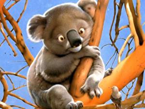 Tapety na pulpit Niedźwiedź Koala
