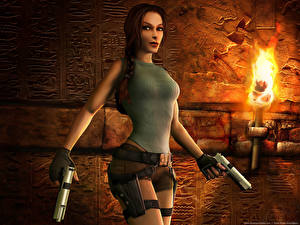 Bureaubladachtergronden Tomb Raider Tomb Raider Anniversary