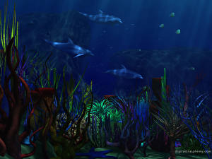 Papel de Parede Desktop Golfinhos Mundo subaquático 3D Gráfica Animalia
