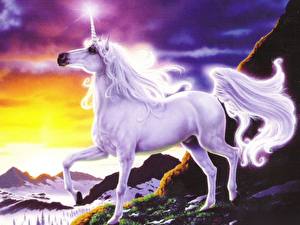 Pictures Magical animals Unicorns Fantasy