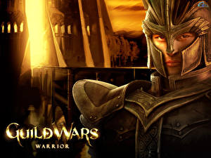 Bureaubladachtergronden Guild Wars warrior