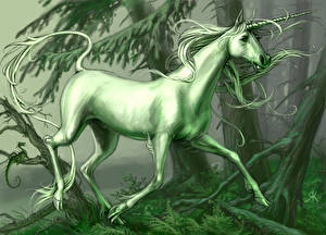 Картинка Волшебные животные Единороги