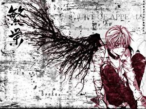 Bakgrunnsbilder Angel Sanctuary Anime