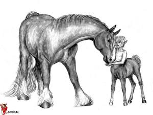 Bakgrunnsbilder Kentaur Fantasy
