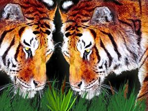 Pictures Big cats Tigers Painting Art animal