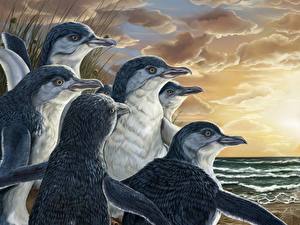 Wallpaper Penguin Animals