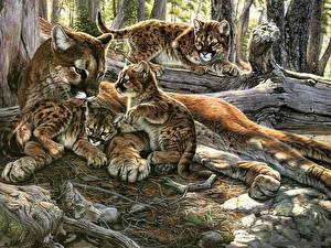 Картинка Большие кошки Рисованные Животные