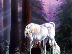 Sfondi desktop Animali magici Unicorno Fantasy