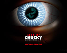 Desktop hintergrundbilder Chuckys Baby Film