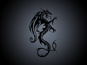 Pictures Dragon Silhouette