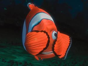 Papel de Parede Desktop Disney À Procura de Nemo