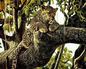 Картинка Большие кошки Леопарды Рисованные Животные