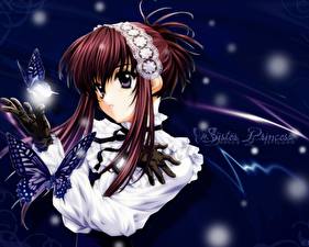 Picture Sister Princess Anime