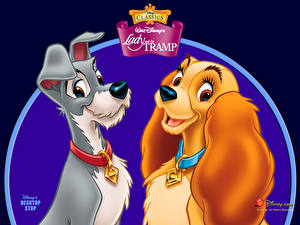 Wallpapers Lady and the Tramp Cartoons
