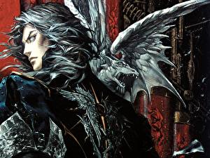 Bilder Castlevania Castlevania: Curse of Darkness