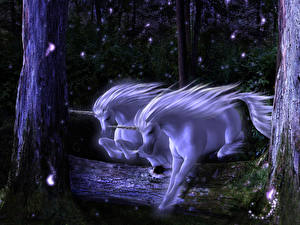 Sfondi desktop Animali magici Unicorni