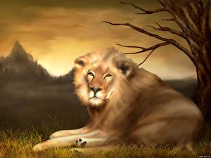 Sfondi desktop Grandi felini Panthera leo Disegnate Animali