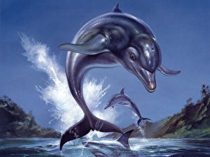 Bureaubladachtergronden Dolfijnen een dier