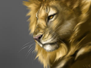 Фото Большие кошки Львы Рисованные животное